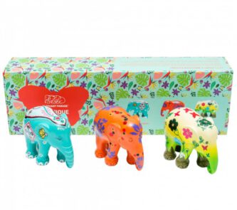 Multipack Exotique Elephant Parade